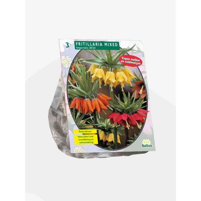 Fritillaria Imperialis mixed bulbi x 3