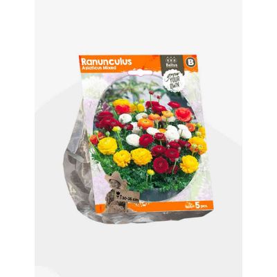 Ranunculus asiaticus mixed bulbi x  5