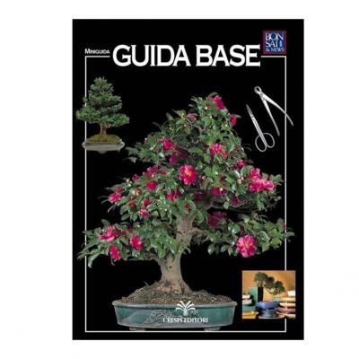 Guida base bonsai