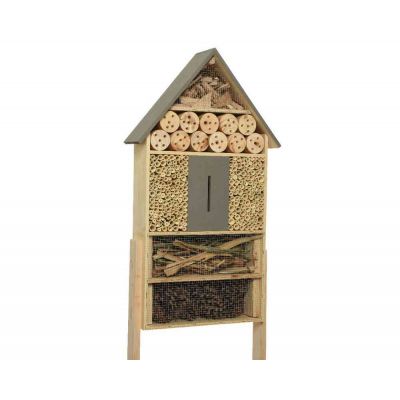 Insect house firwood