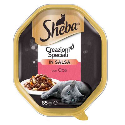 Sheba vasc creaz oca