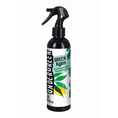 Rinverdente per piante verdi Green Again 250 ml