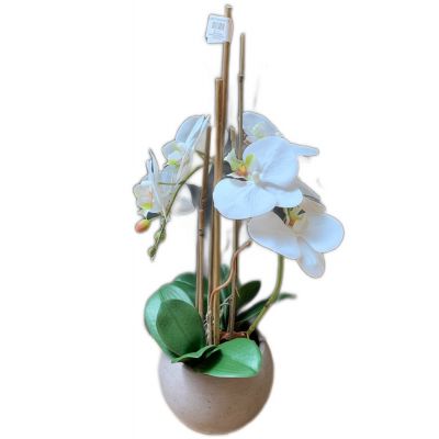 Vaso phalaenopsis 1 ramo artificiale