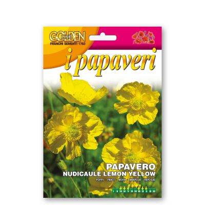 Papavero nudicaule lemon yellow