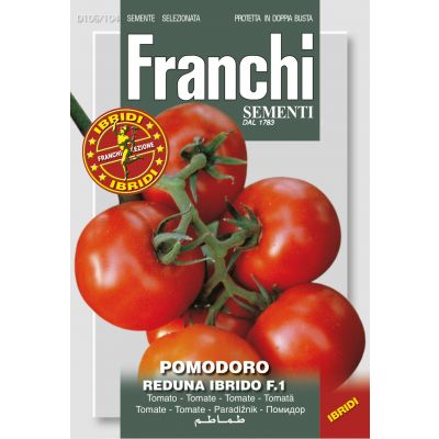 Pomodoro reduna f1