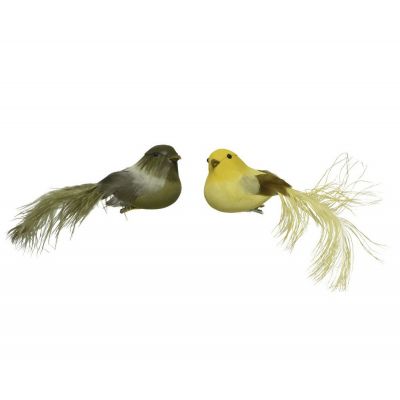 Bird feather on clip 2col assortiti 18 cm 