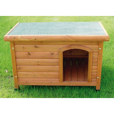 Canile shelter sm