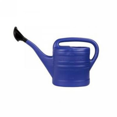 Garden watering can 10l