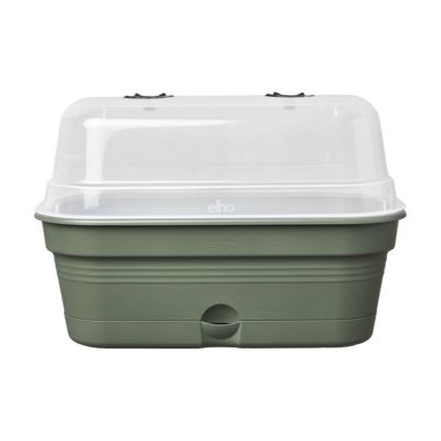 Green basics grow tray allin1