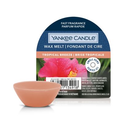 Wax melt tropical breeze