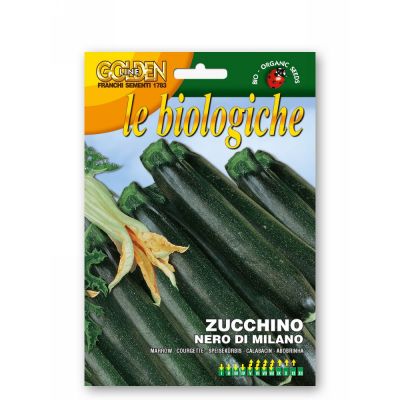 Zucchino nero milano bio