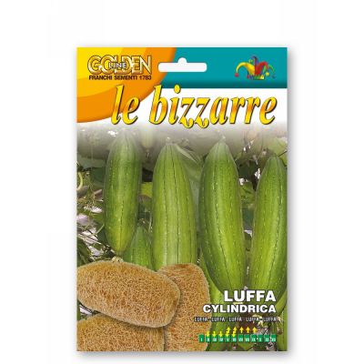 Bizzarre luffa cylindrica