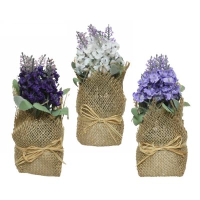 Lavender lavender plastic in b
