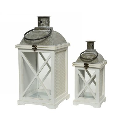 Lantern firwood