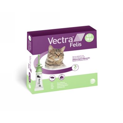 Vectra felis