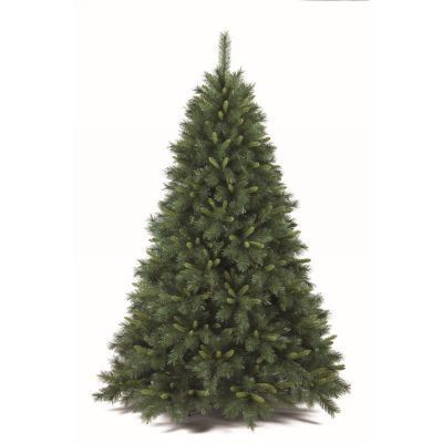 Albero di natale Napapijri 240 cm.