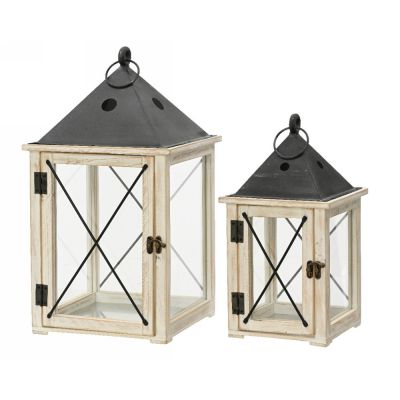 Lantern firwood