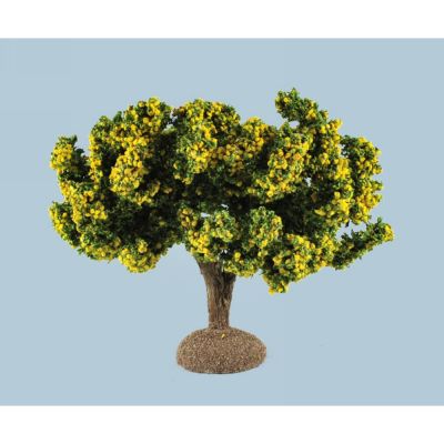 Albero limoni