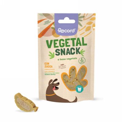 Vegetal snack zucca zucca