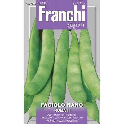 Fagiolo nano roma ii 