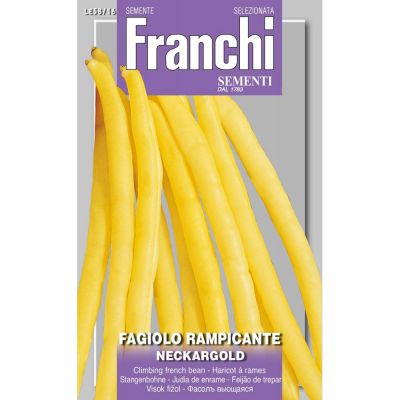 Fagiolo rampicante neckargold 