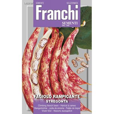 Fagiolo rampicante stregonta 