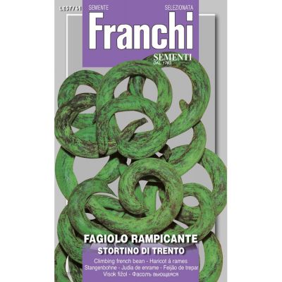 Fagiolo rampicante stort.trento 
