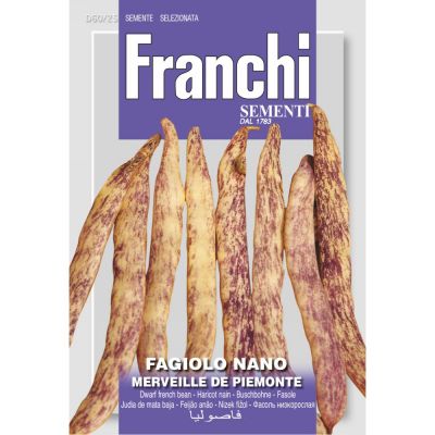 Fagiolo nano merv.piemonte 