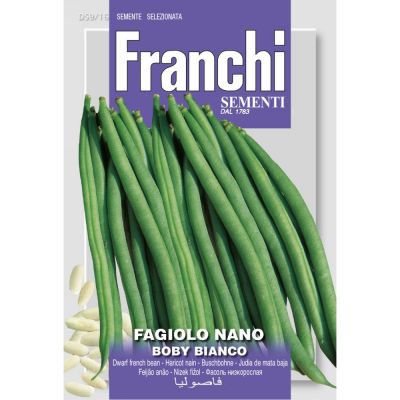 Fagiolo nano boby bianco 