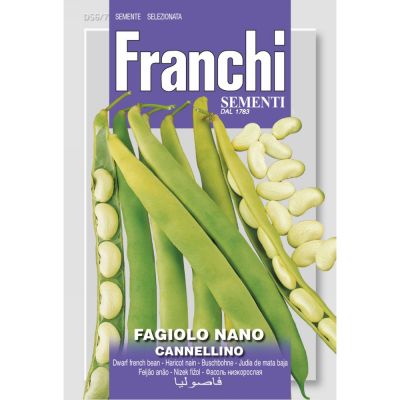 Fagiolo nano cannellino 