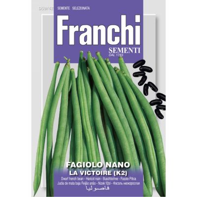 Fagiolo nano la victoire 