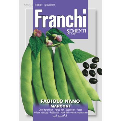 Fagiolo marconi nano 