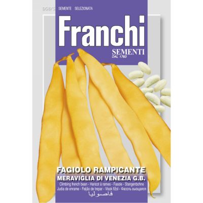 Fagiolo rampicante meraviglia venezia grano bianco  