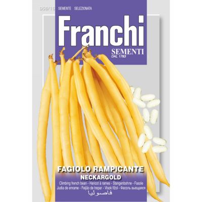 Fagiolo rampicante neckargold 