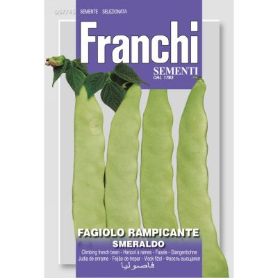 Fagiolo rampicante smeraldo 