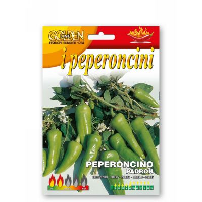 Peperone padron