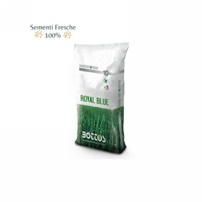 Semente royal blue 10 kg