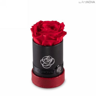Rosa baccara stabilizzata  rosso 6cm