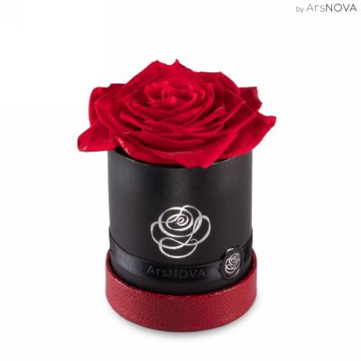 Rosa stabilizzata Gran prix rosso 10cm