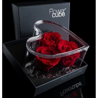 Flowercube platinum 3 rose rosse 150x80cm