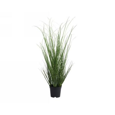 Plant grass in pot pvc