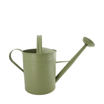 Watering can metal