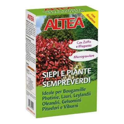 Altea conc siepi e sempreverdi