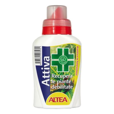 Altea attiva