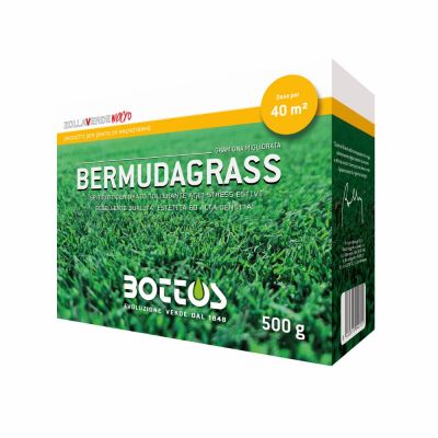 Semente Bermudagrass 500gr