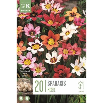 Sparaxis mixed