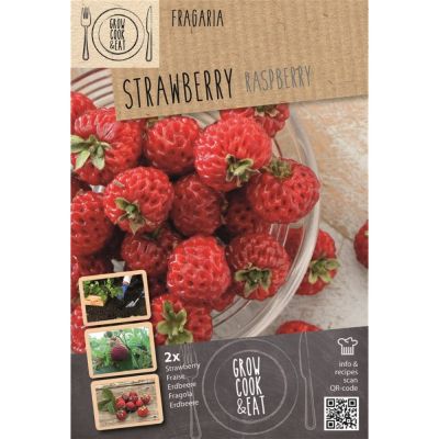 Fragola Raspberry