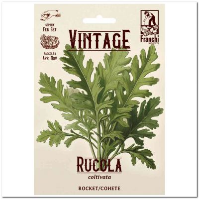 Rucola coltivata
