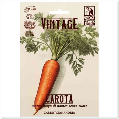 Carota Nantes