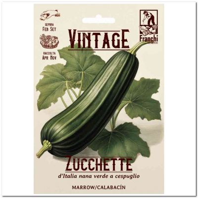 Zucchette d'italia